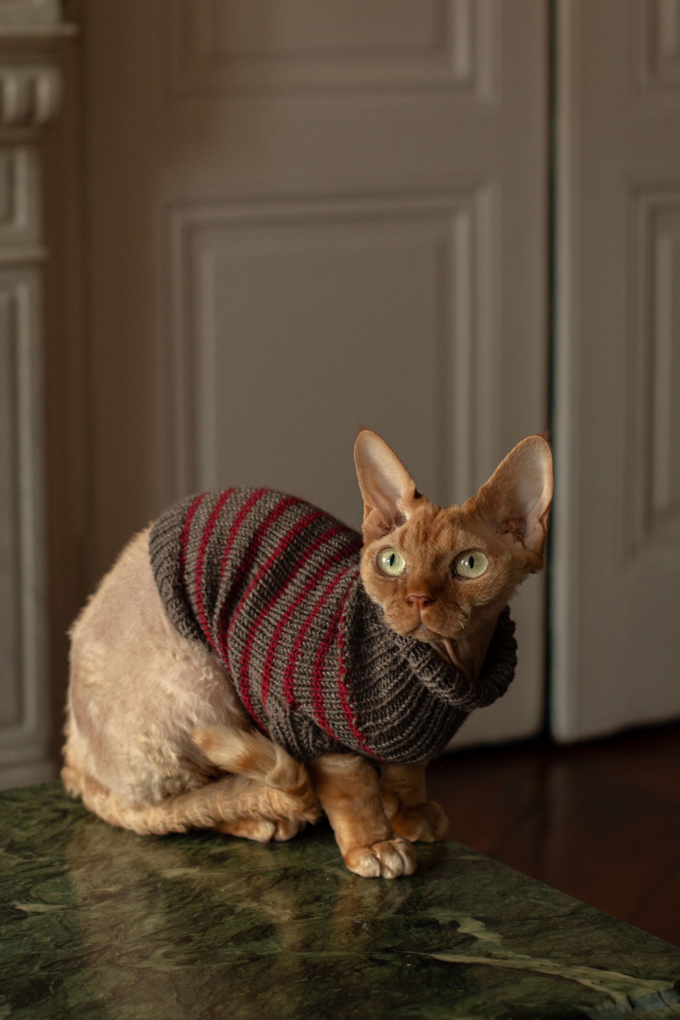 Moussaillon Sweater FR & ENG - Patron de tricot