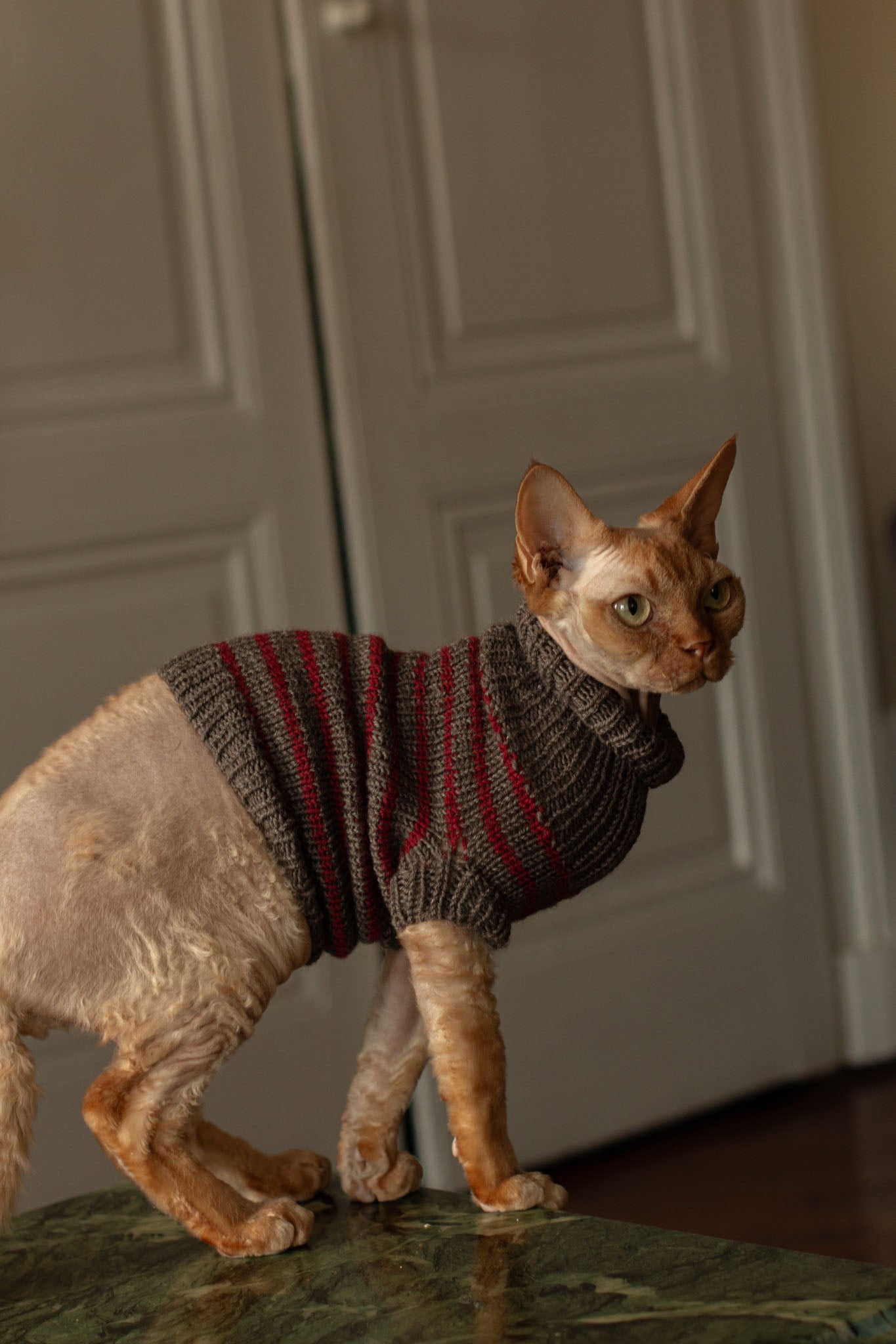 Moussaillon Sweater FR & ENG - Patron de tricot