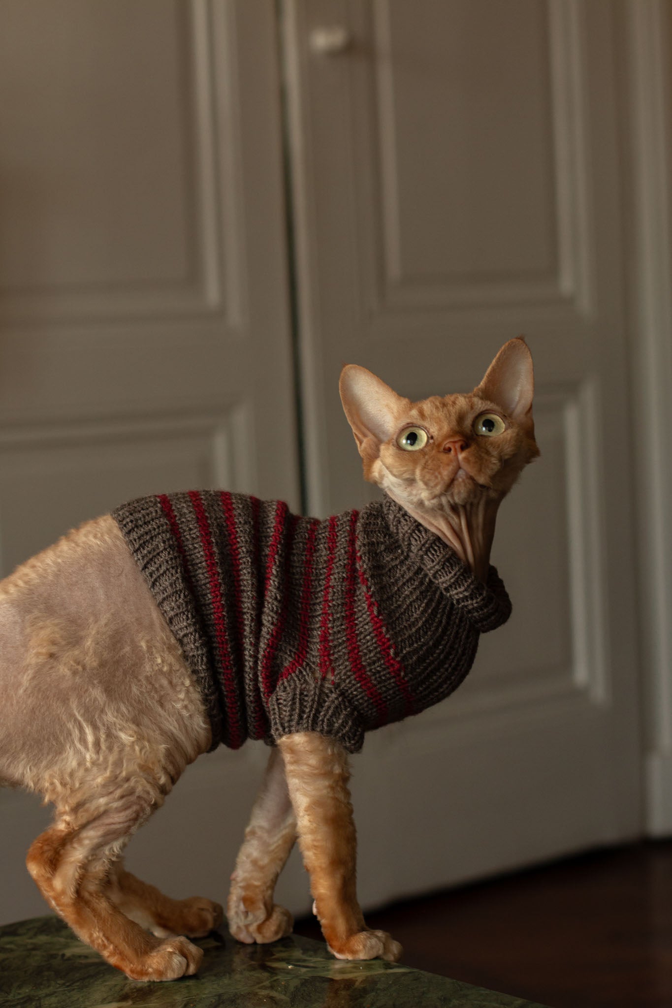 Moussaillon Sweater FR & ENG - Patron de tricot