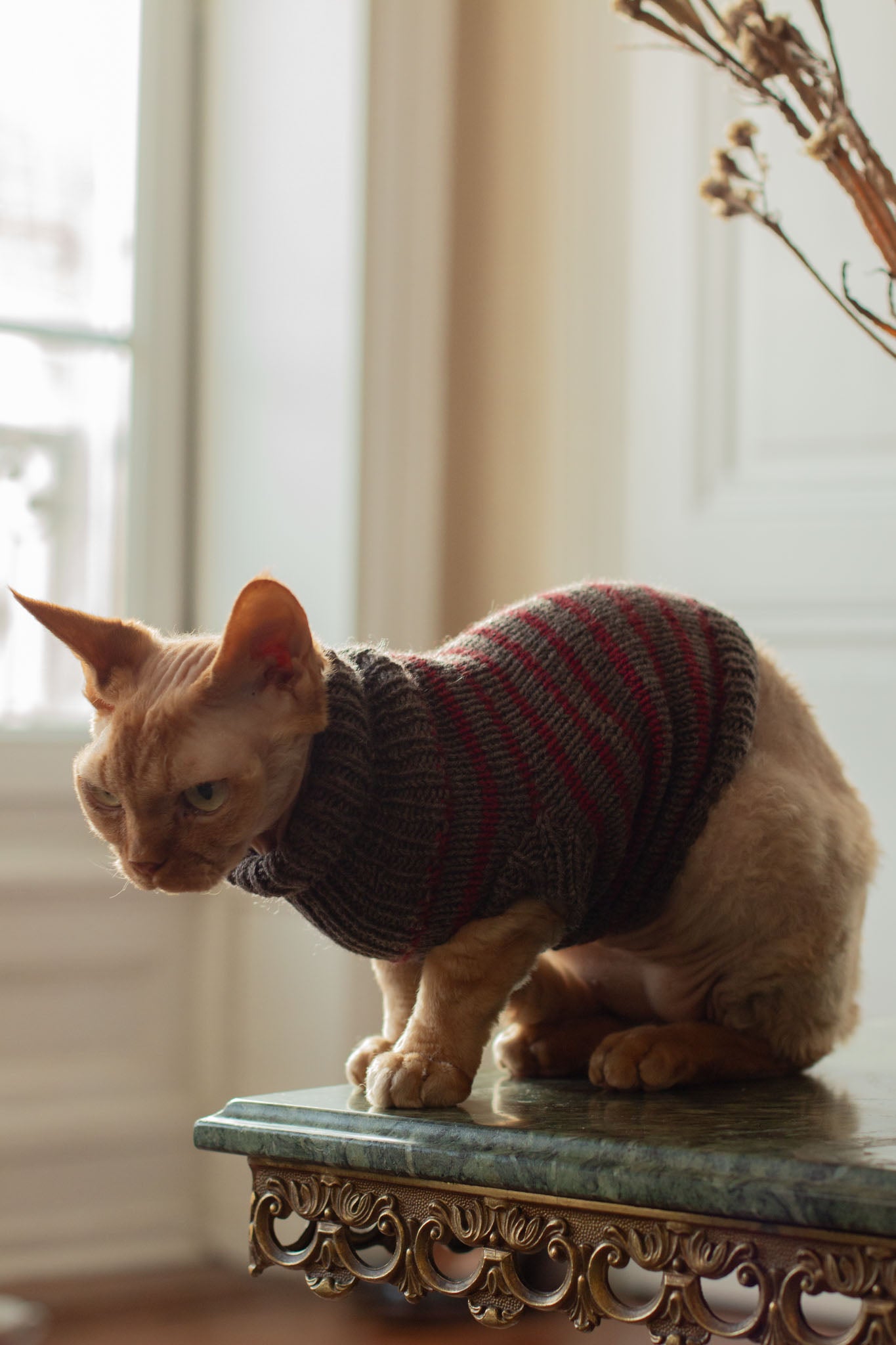 Moussaillon Sweater FR & ENG - Patron de tricot