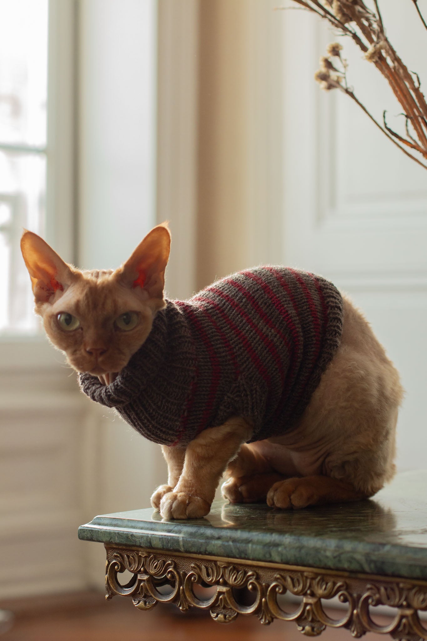 Moussaillon Sweater FR & ENG - Patron de tricot
