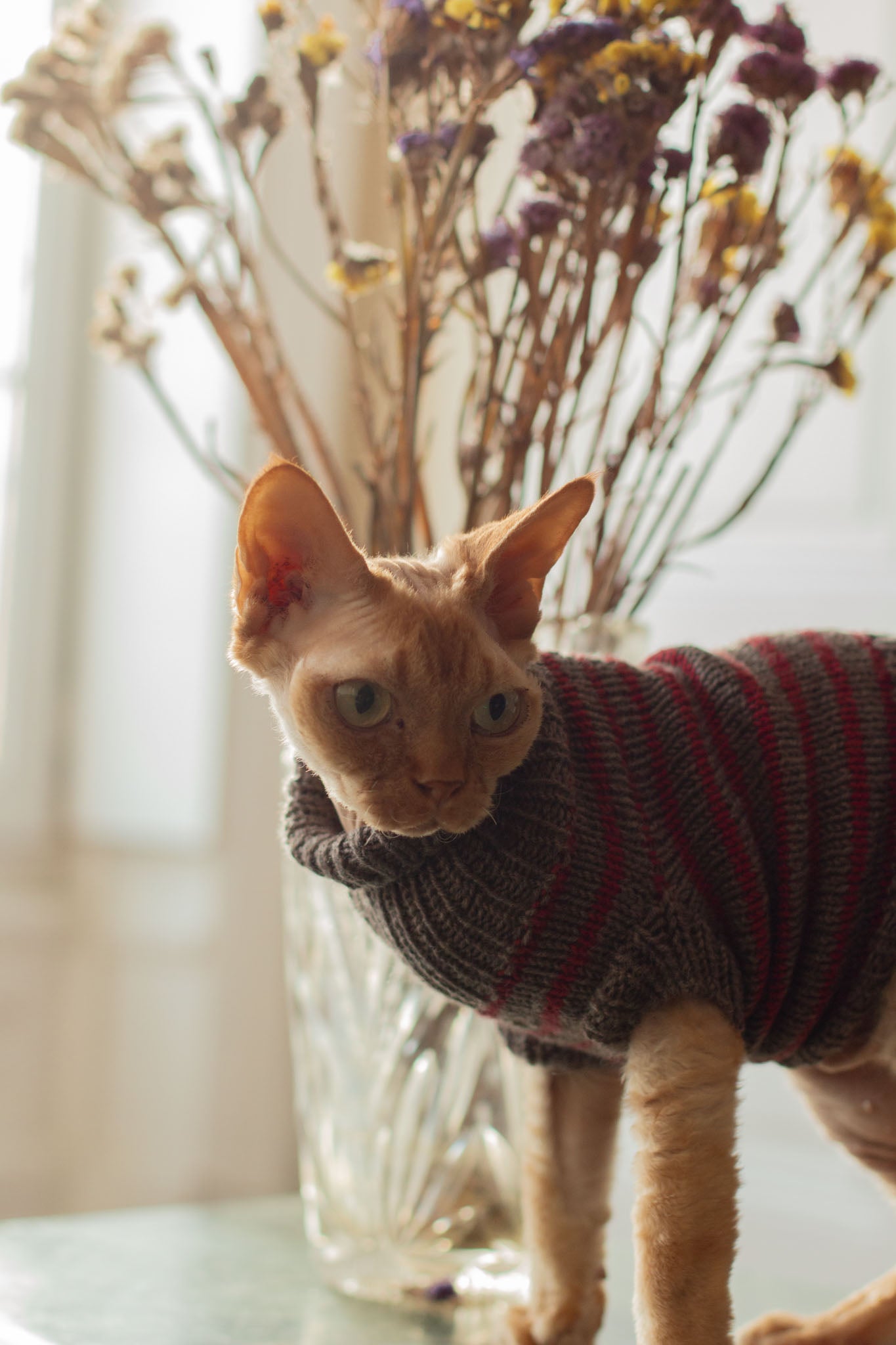 Moussaillon Sweater FR & ENG - Patron de tricot