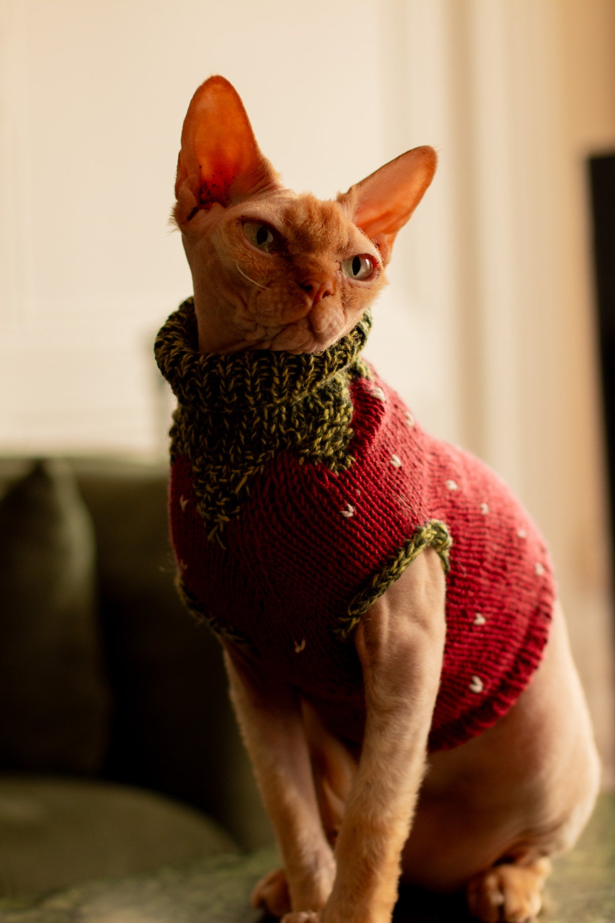 Gariguette Sweater - Patron de tricot