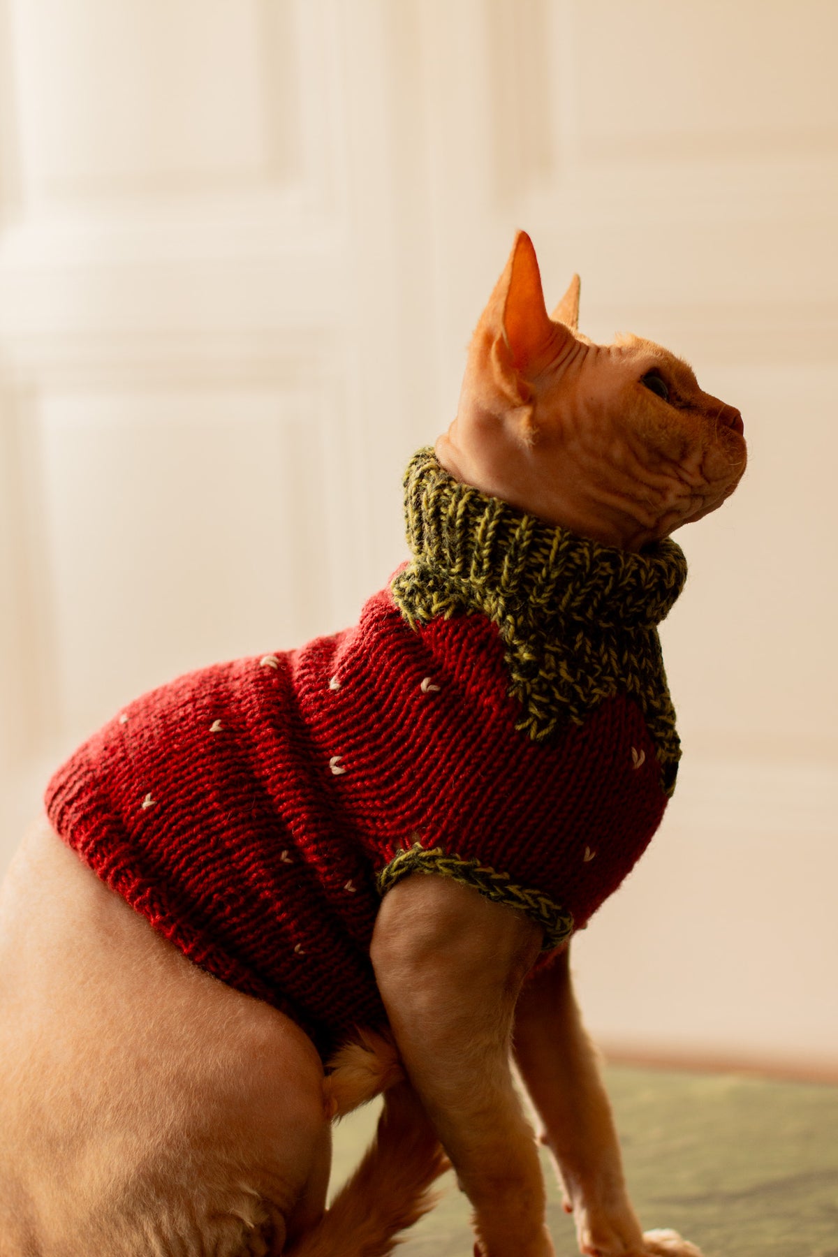 Gariguette Sweater - Patron de tricot