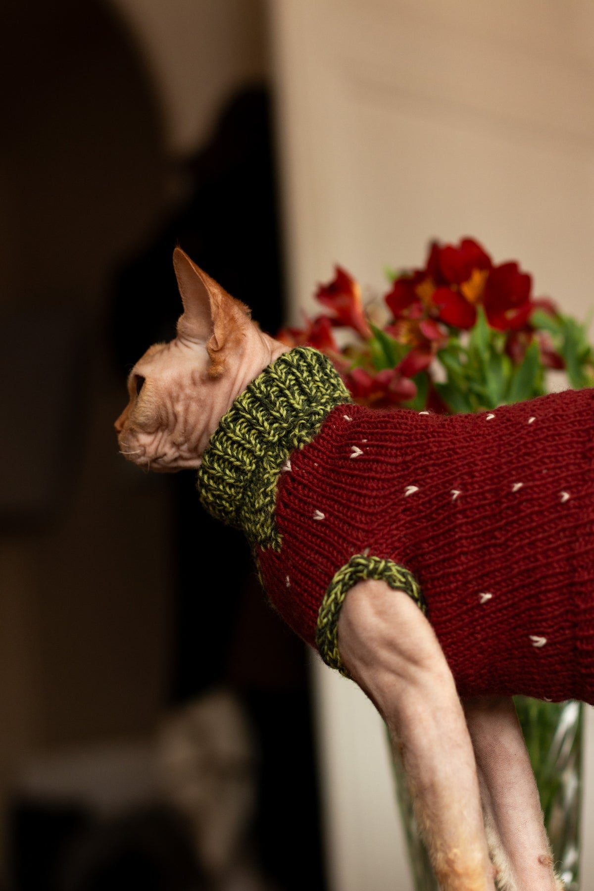 Gariguette Sweater - Patron de tricot