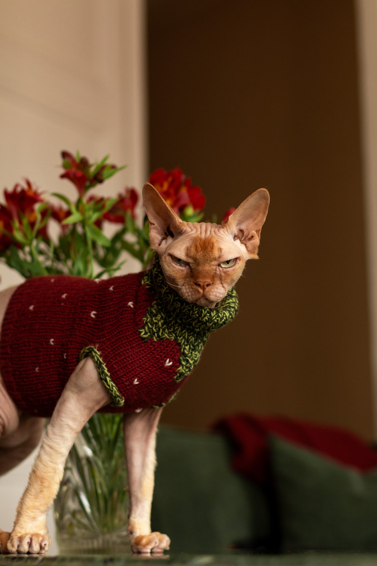 Gariguette Sweater - Patron de tricot