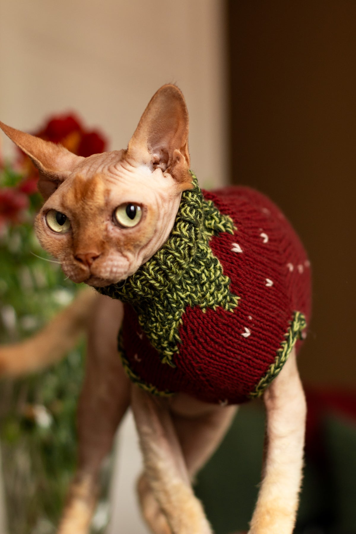 Gariguette Sweater - Patron de tricot